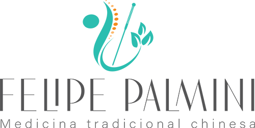 logo felipe palmini acupuntura bh